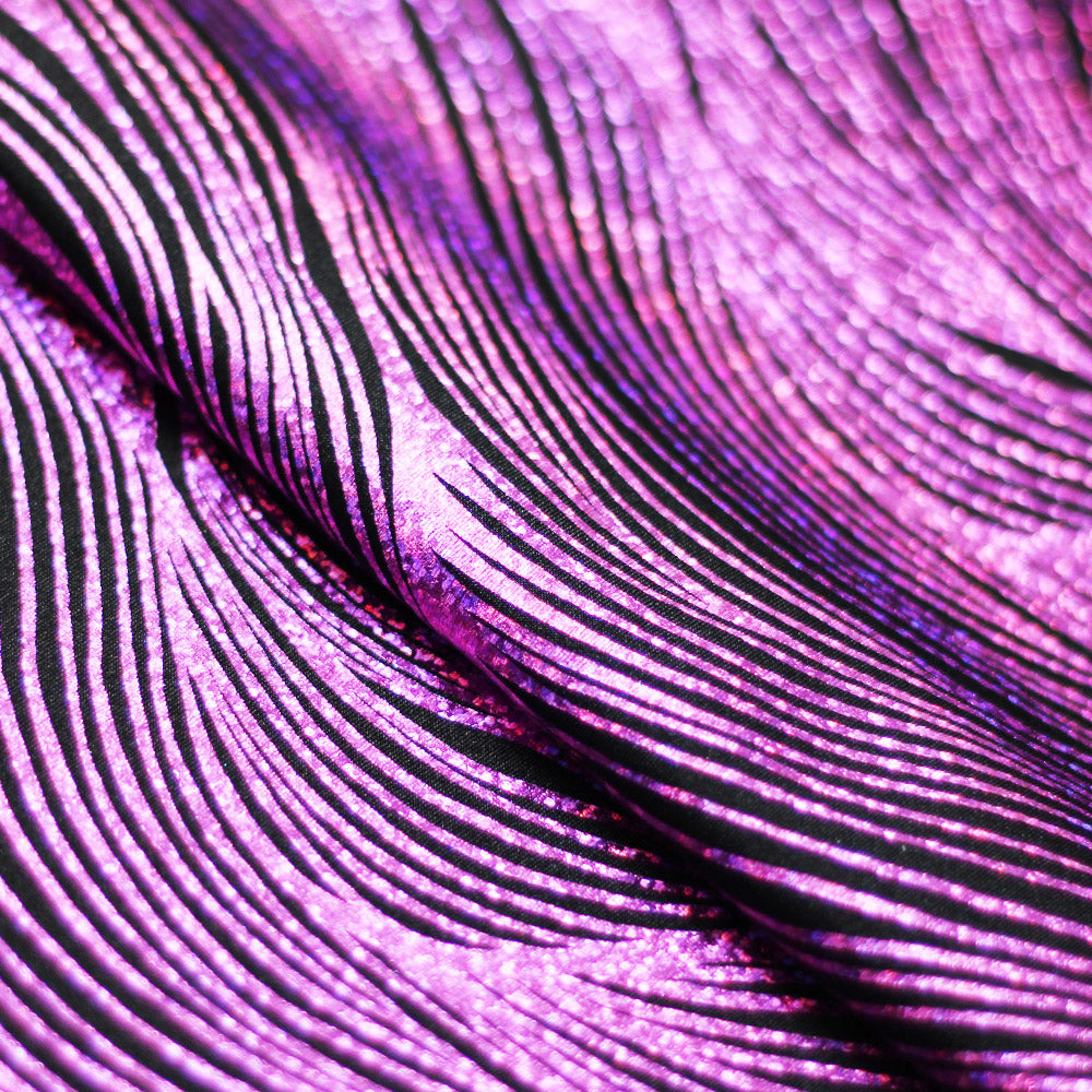 Black Fuchsia Black Fuchsia