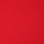 Recycled Interlock Active / 100% Recycled Poly / 200 GSM