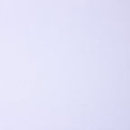 Recycled Interlock Active / 100% Recycled Poly / 200 GSM