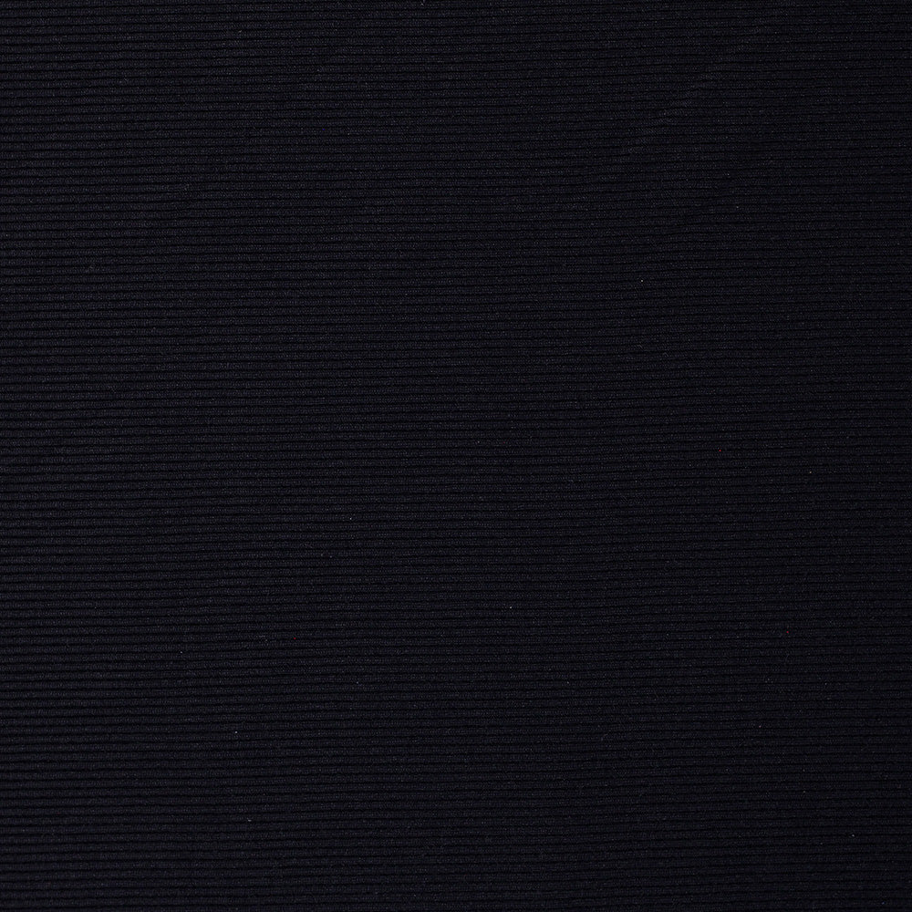 Silky Rib Nylon Spandex 240 GSM fabric