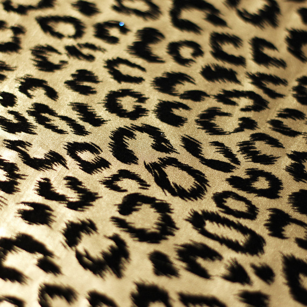 Sassy Cat fabric