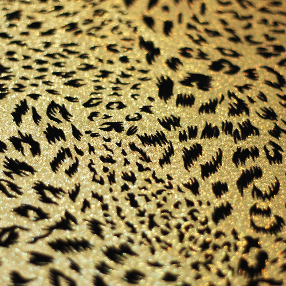 Stray Cat fabric