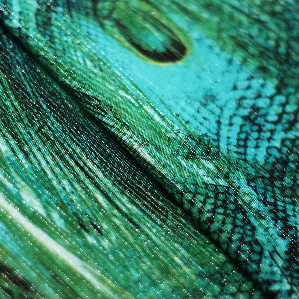 Peacock Strike fabric