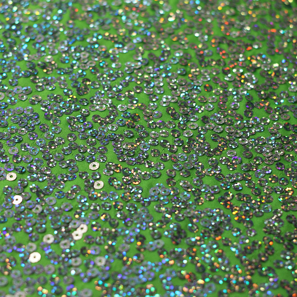 Sequin Showcase Razzle fabric