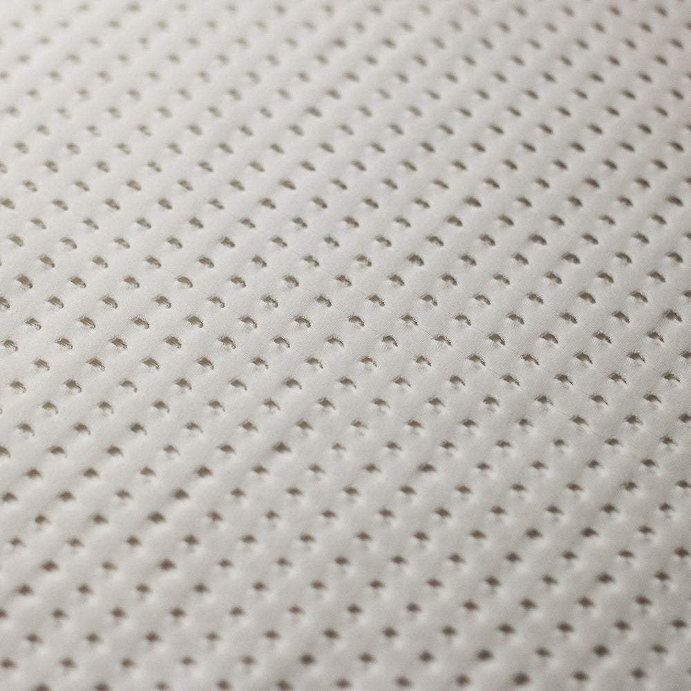 Peep Mesh fabric
