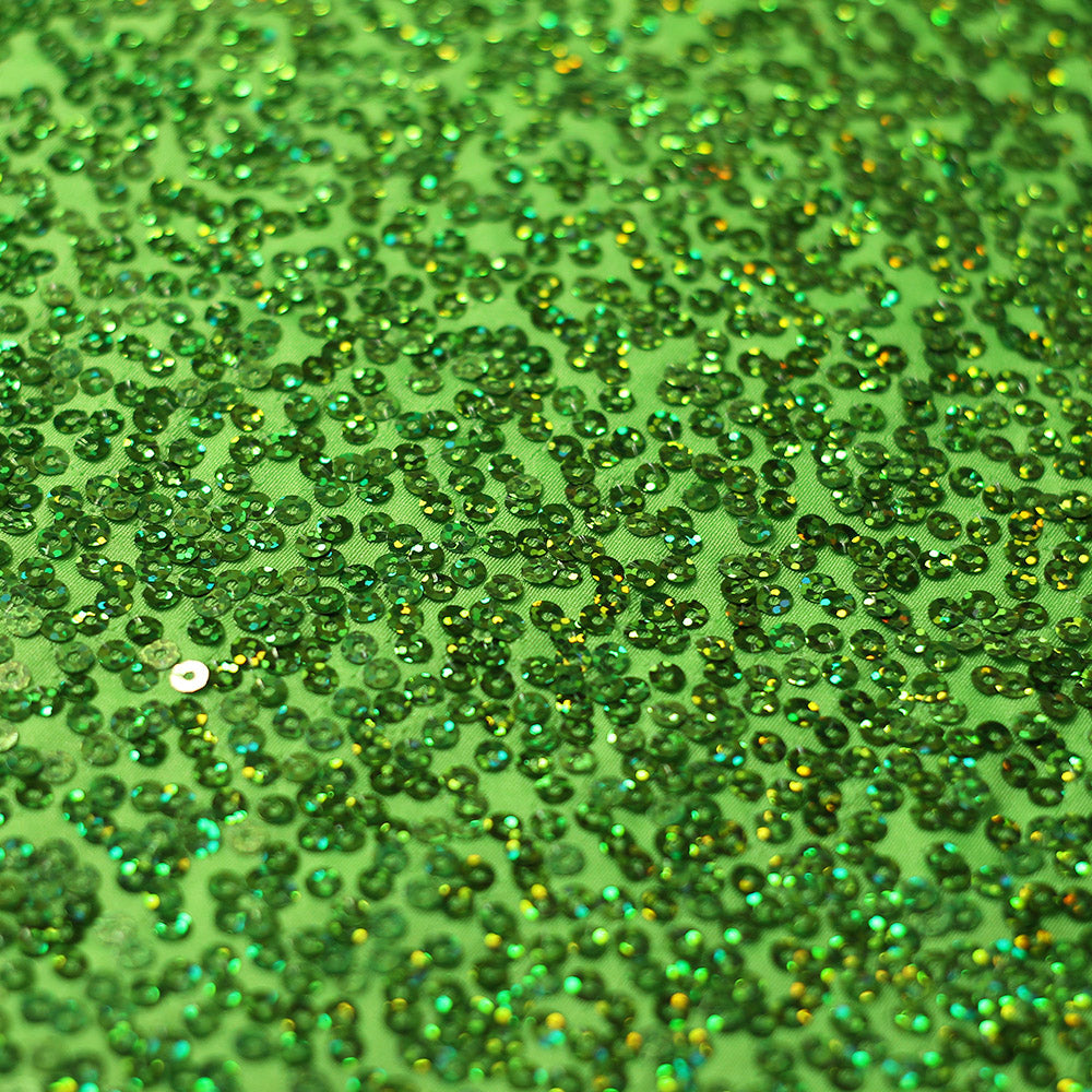 Sequin Showcase Razzle fabric
