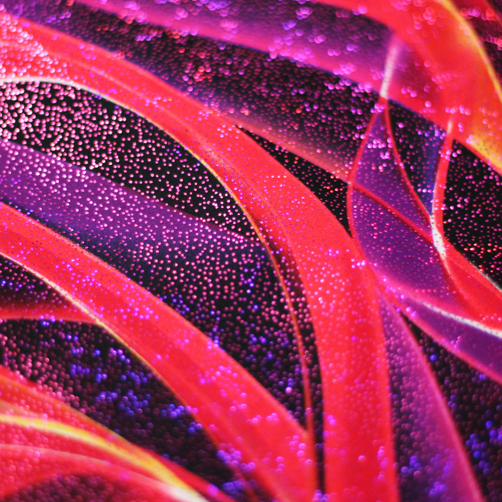 Dance Ribbons fabric