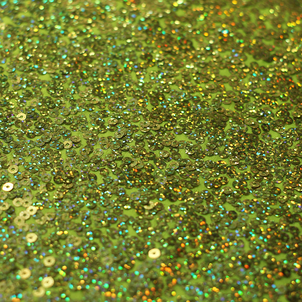 Sequin Showcase Razzle fabric