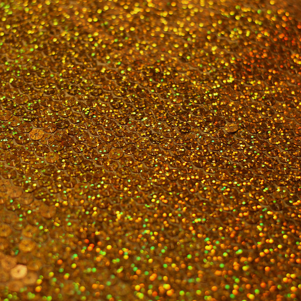 All-Over Holo Sequins fabric