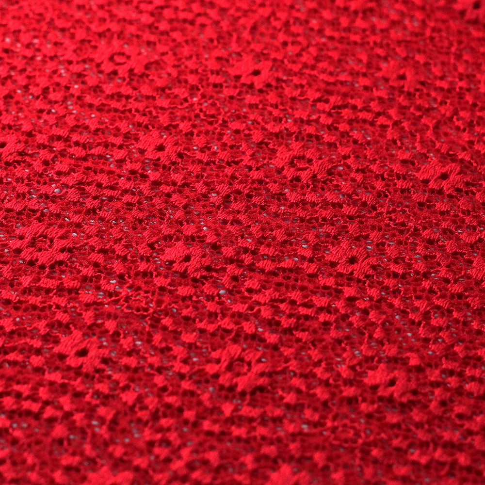 Sassy Stretch Lace fabric