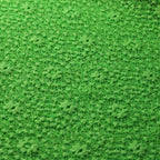 Neon-Lime
