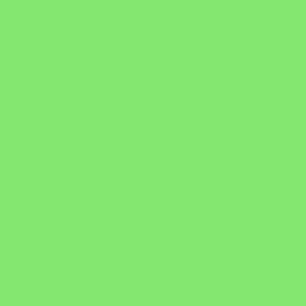 raschel-lime