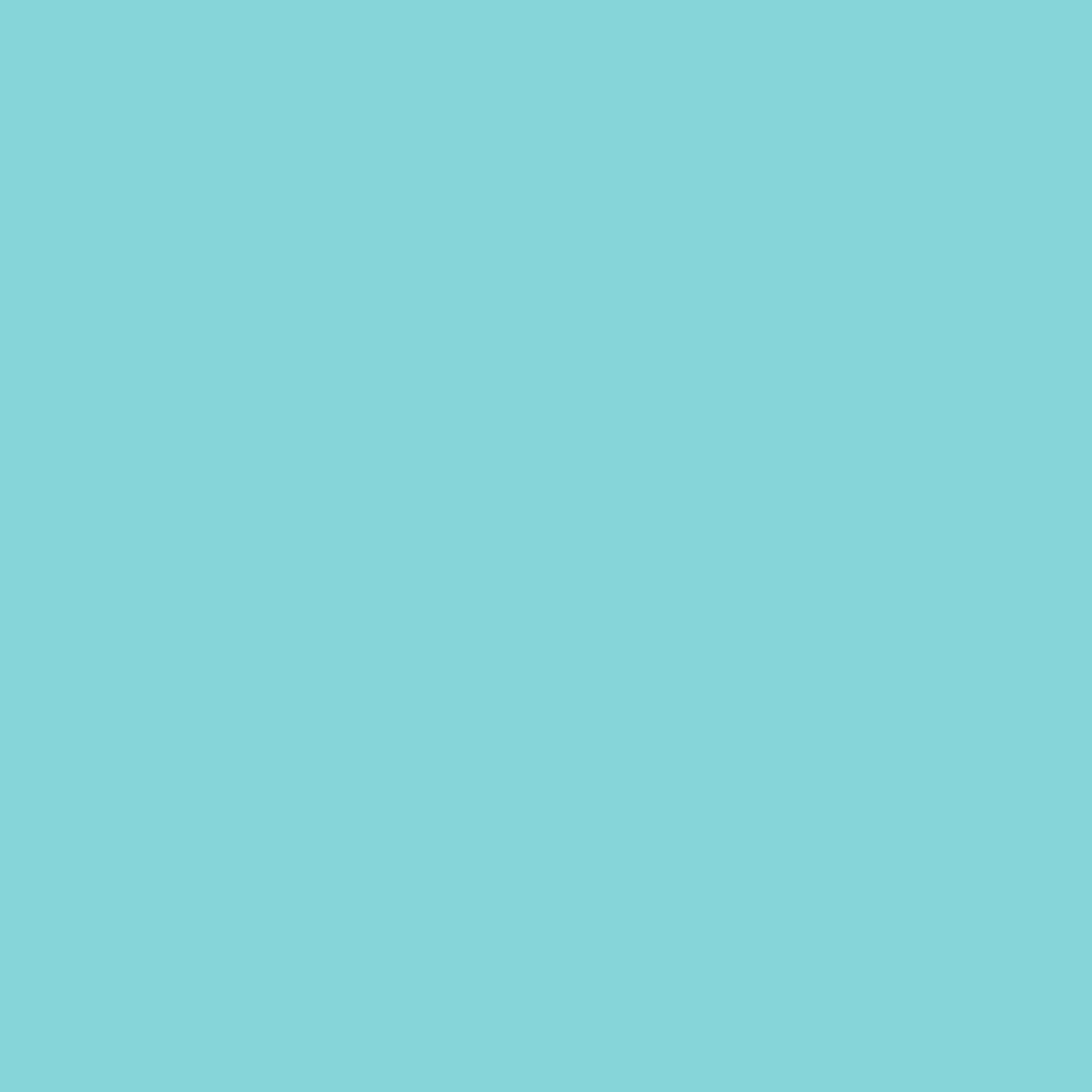 raschel-mint