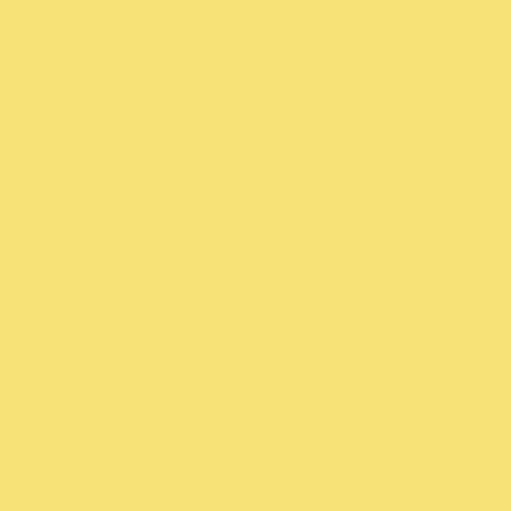 Raschel 2-Way Stretch Nylon Spandex fabric