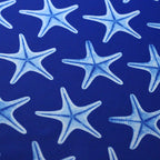 blue-white-2